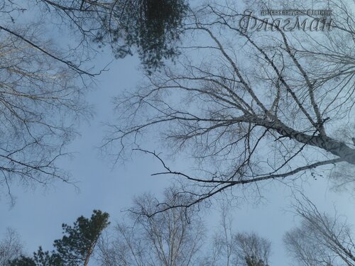 P1010614_r
